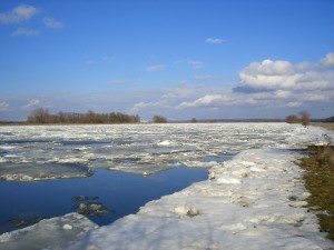Eisschollen auf der Oder