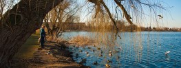 muendesee-enten-fuettern