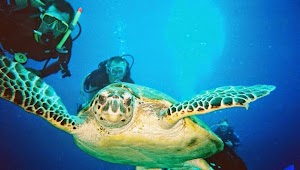 Über Netztaucher 3 die netztaucher GmbH place picture